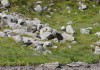 dsc02462.jpg