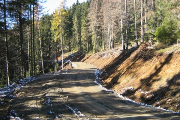 Krivula