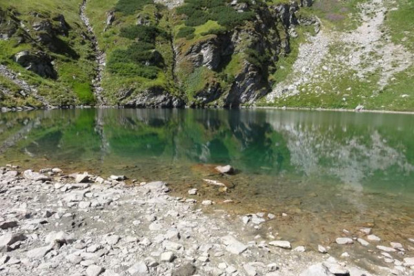Spomienka na leto