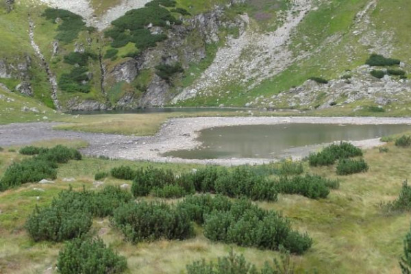 Spomienka na leto