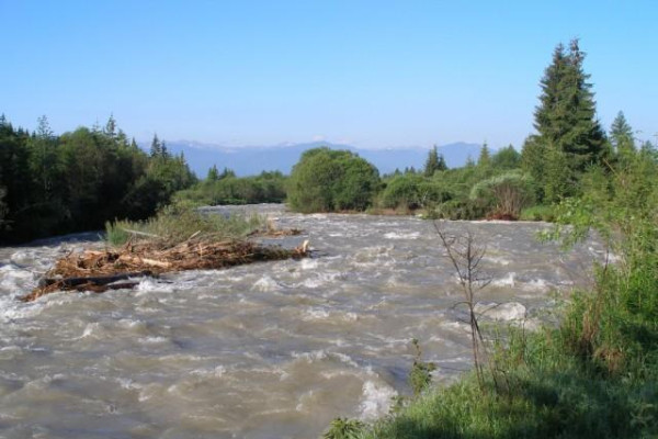Belá po dažďoch