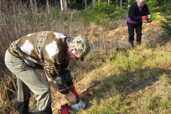 Zalesňovanie 2010