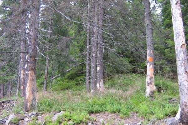 Pár slov