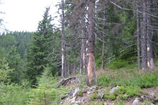 Pár slov