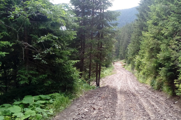 Jeseň 2017